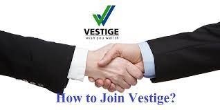 why is vestige great to start a career with?