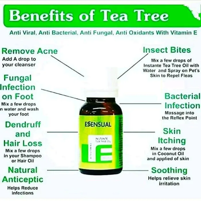 Modicare Tea Tree Oil | 16 Amzing Benfits in Hindi